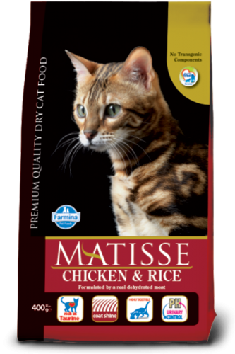 Matisse Adult Chicken&Rice